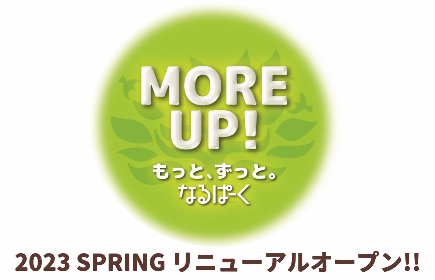 【MORE UP!】2023 SPRING リニューアルオープン!!